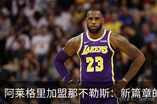 阿莱格里加盟那不勒斯：新篇章的开启与战术革新