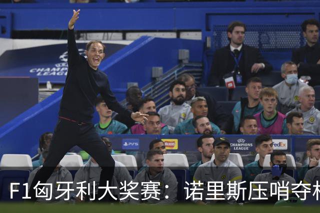 F1匈牙利大奖赛：诺里斯压哨夺杆